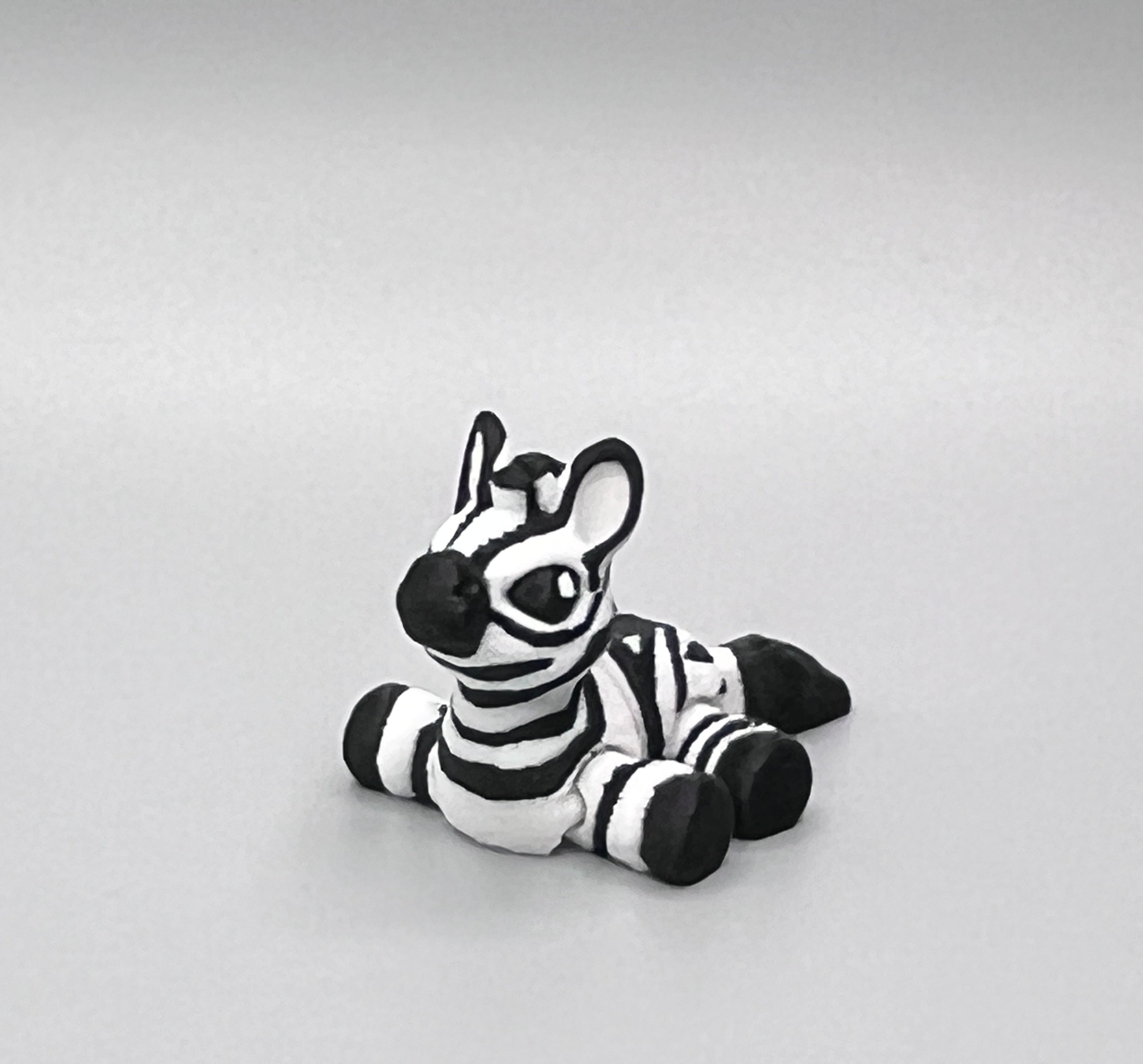 Safari Zebra