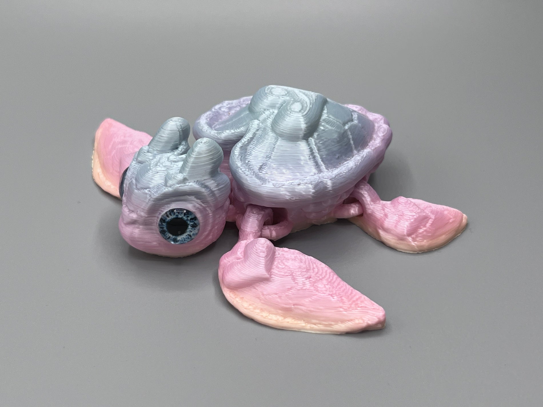 Herzschildkröte