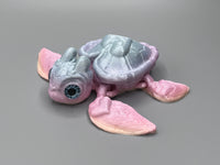 Herzschildkröte