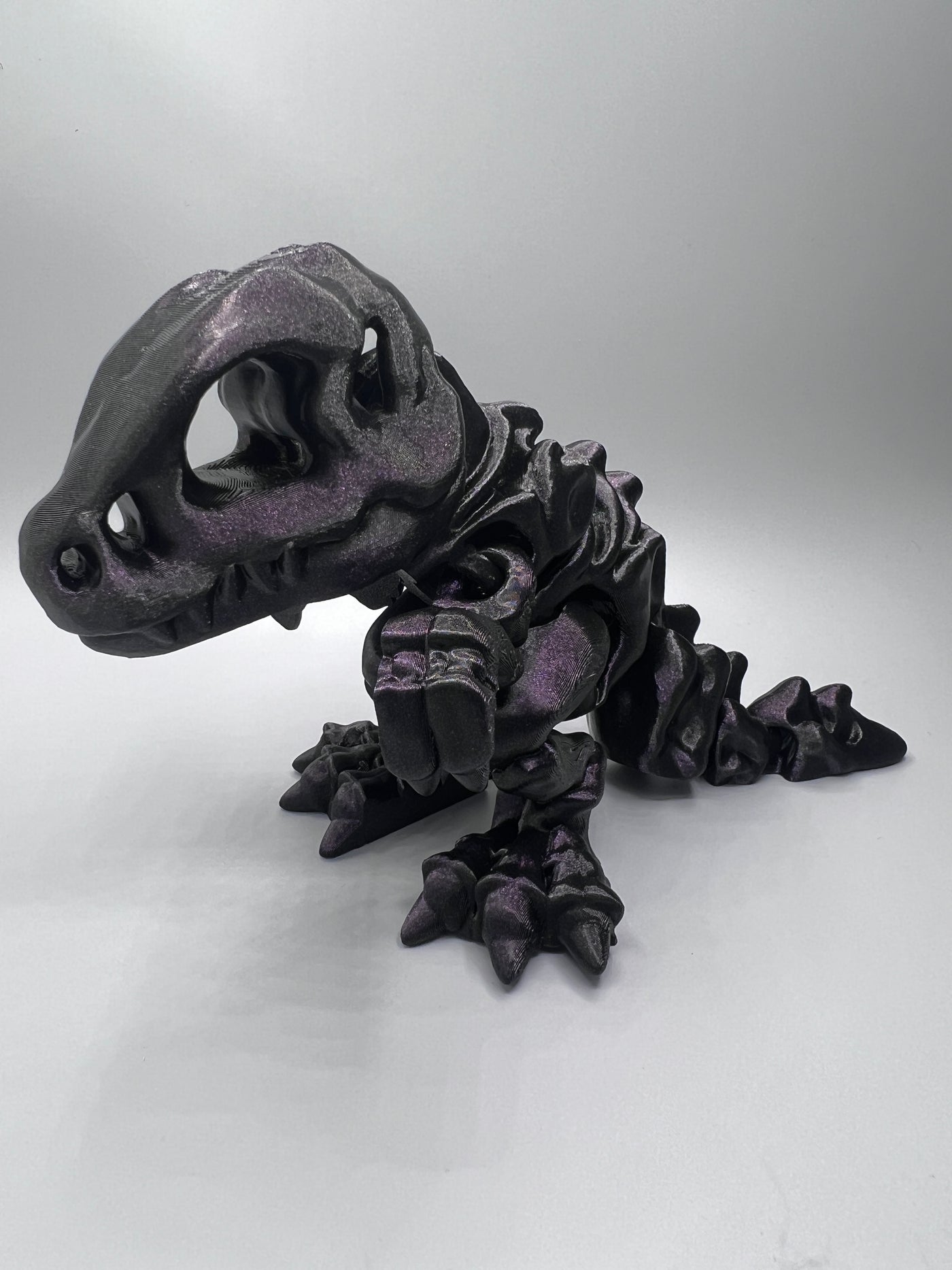 Skelett T-Rex