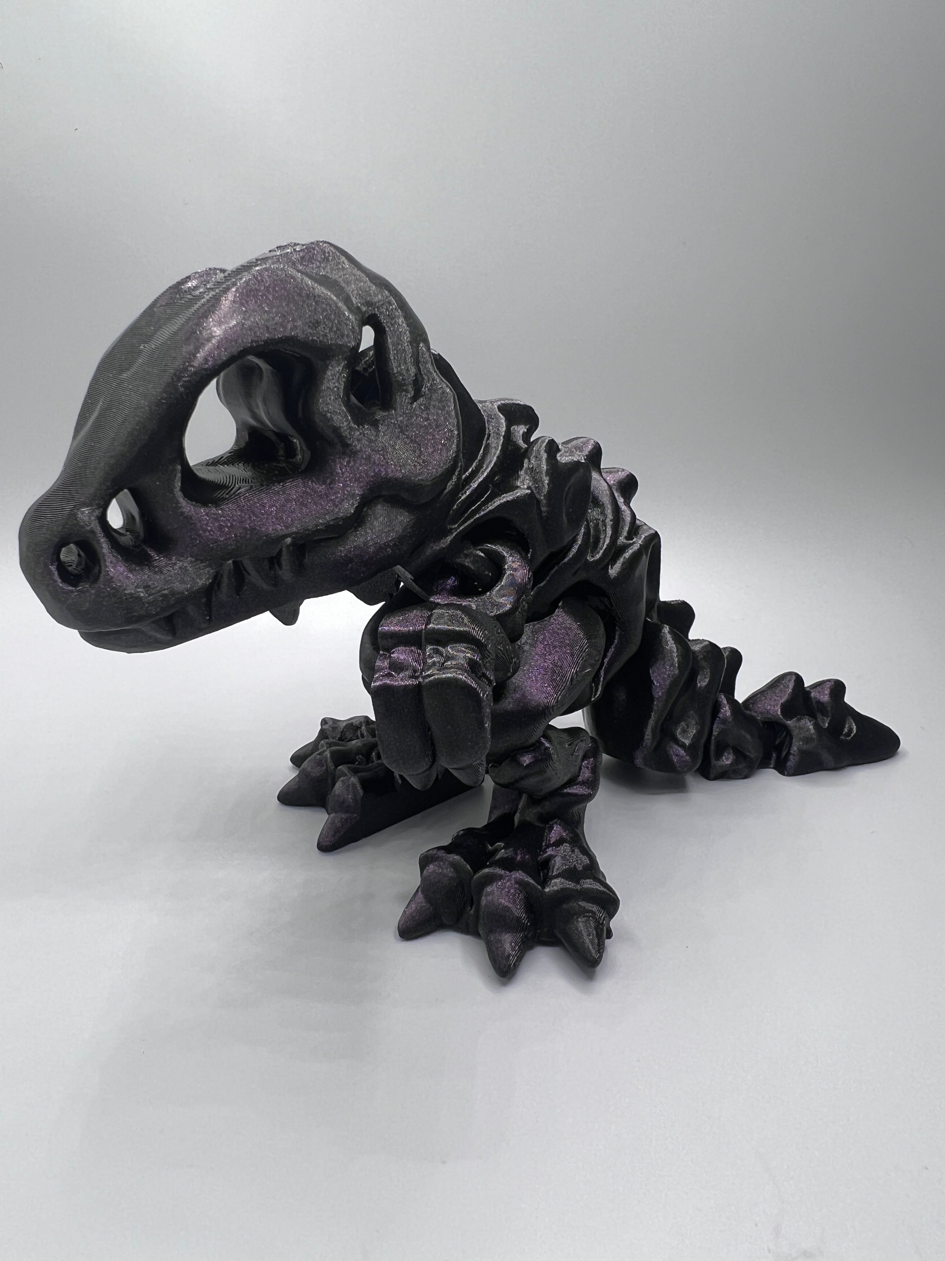 Skelett T-Rex
