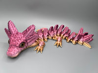 Axolotl Drache